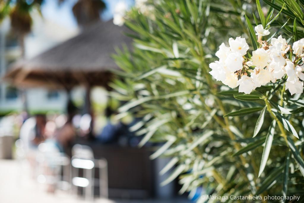 Yellow Alvor Garden المظهر الخارجي الصورة